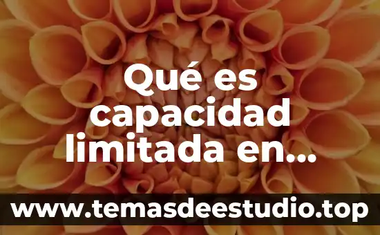 Qué es una sociedad civil de responsabilidad limitada 5 Qué es capacidad limitada en filosofía