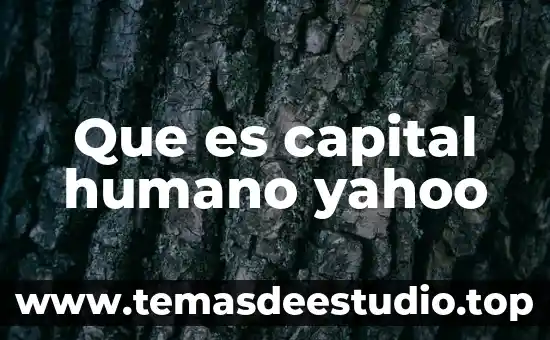 Que es capital humano yahoo