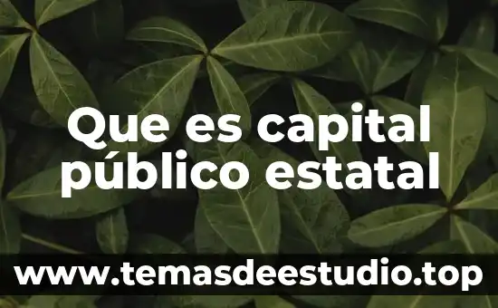 Que es el signo linguistico caracteristicas 6 Que es capital público estatal