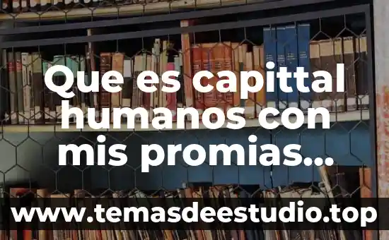 Qué es la cdn en derechos humanos 4 Que es capittal humanos con mis promias palabras