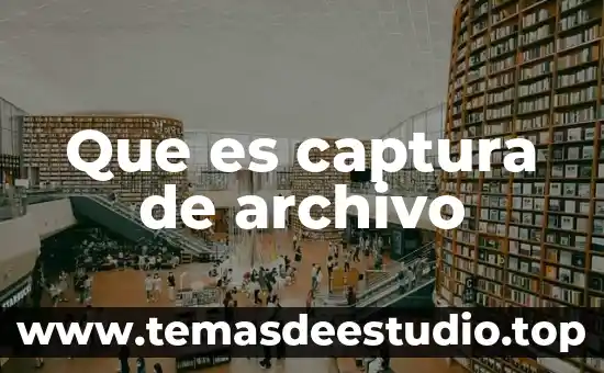 Que es un archivo con nombre z 3 Que es captura de archivo