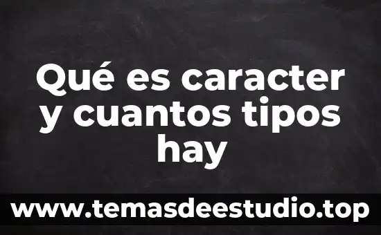 Qué es caracter y cuantos tipos hay