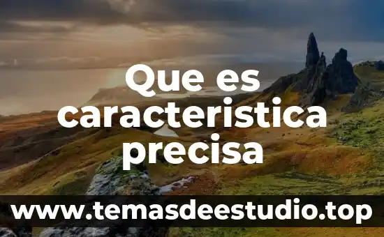 Que es caracteristica precisa