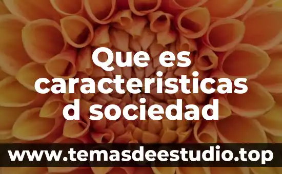 Que es la sociedad unipersonal en bolivia 8 Que es caracteristicas d sociedad