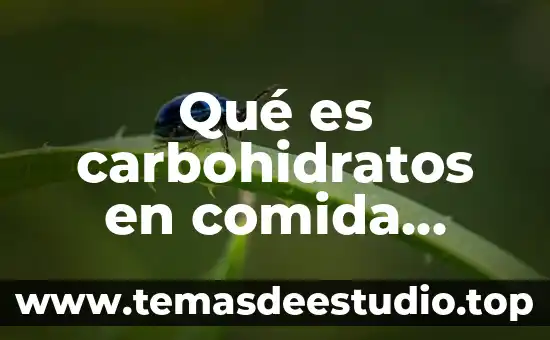 Qué es carbohidratos en comida chatarra