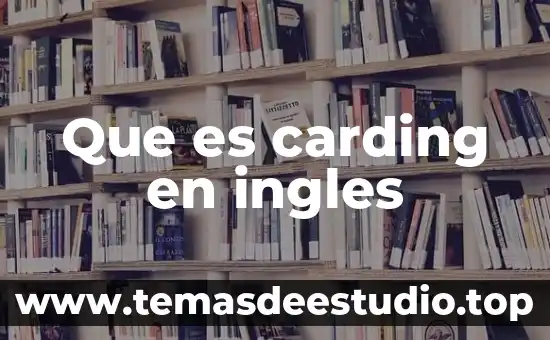 Que es el sol en ingles 4 Que es carding en ingles