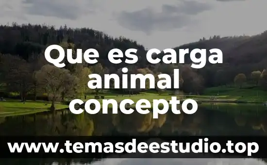 Que es la ofimatica sus principales tecnicas scielo 3 Que es carga animal concepto