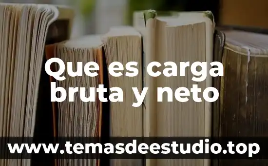 Que es carga bruta y neto