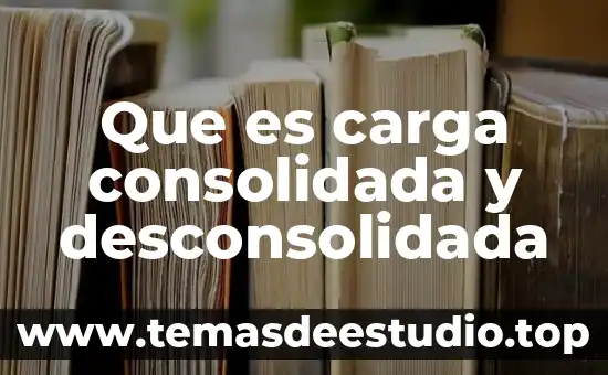Que es carga consolidada y desconsolidada