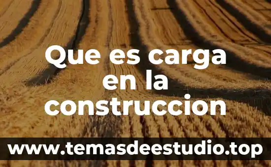 Que es carga en maquinaria pesada 5 Que es carga en la construccion