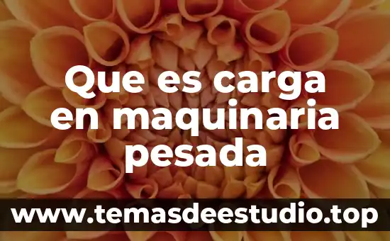 Carga mayor a la máxima IPN que es 8 Que es carga en maquinaria pesada