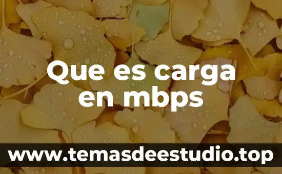 Que es carga en mbps