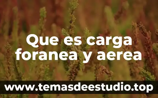 Que es carga foranea y aerea
