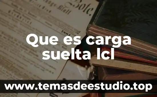 Que es carga en maquinaria pesada 3 Que es carga suelta lcl