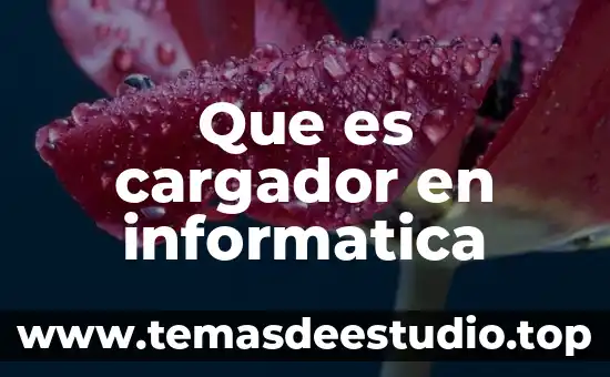 Que es cargador en informatica
