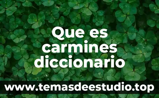 Qué es un triángulo equilátero diccionario 4 Que es carmines diccionario