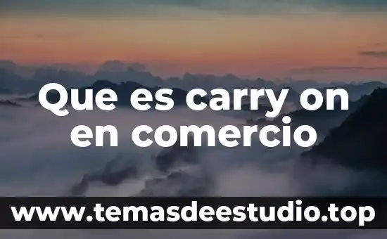 Qué es una comunidad en comercio internacional 4 Que es carry on en comercio