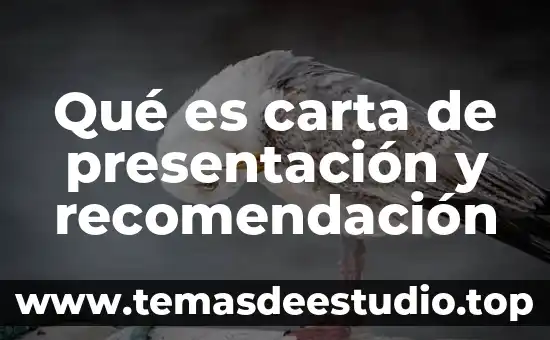 Que es factura y carta factura 6 Qué es carta de presentación y recomendación