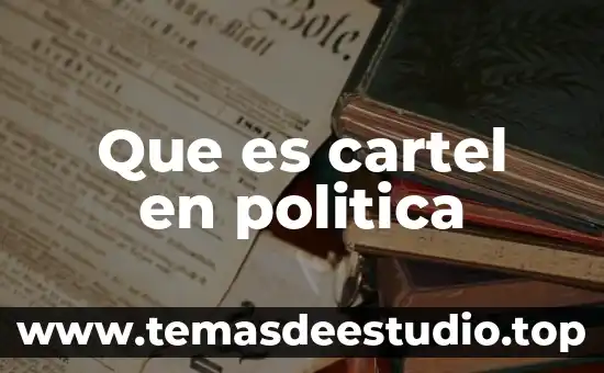 Que es cartel en politica