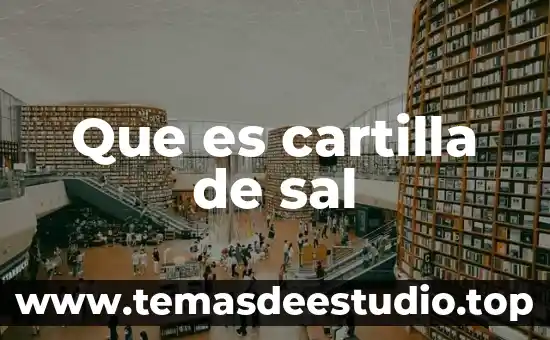 Que es cartilla de sal
