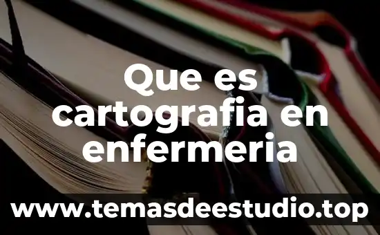 Que es area en enfermeria 5 Que es cartografia en enfermeria