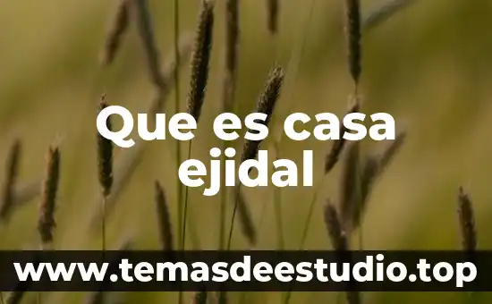 Que es casa ejidal