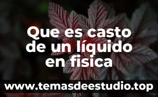 Qué es solido liquido y gases 5 Que es casto de un líquido en fisica