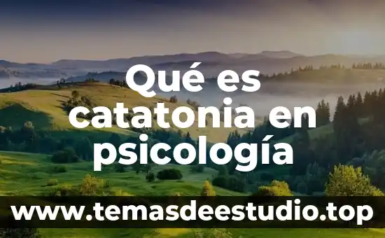 Que es software lenguaje de programacion 3 Qué es catatonia en psicología
