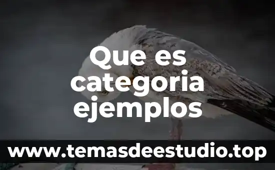 Que es el titulo de tesis ejemplos 4 Que es categoria ejemplos