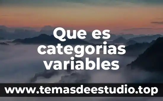 Que es categorias variables