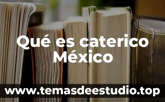 Crees que es un monumento la catedral de México 6 Qué es caterico México