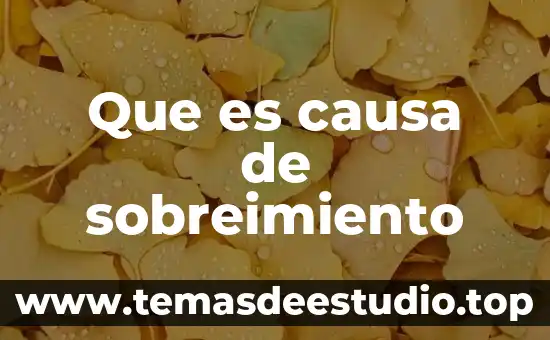 Que es causa de sobreimiento
