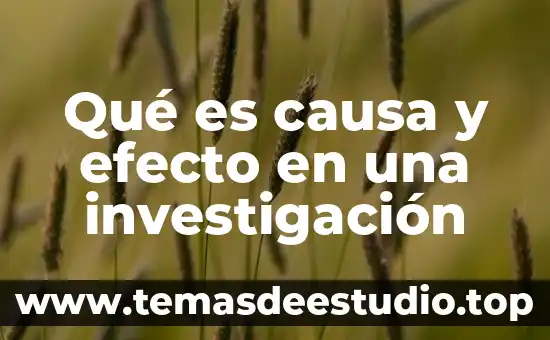 Que es la esencia la causa de pedir consiste en 8 Qué es causa y efecto en una investigación