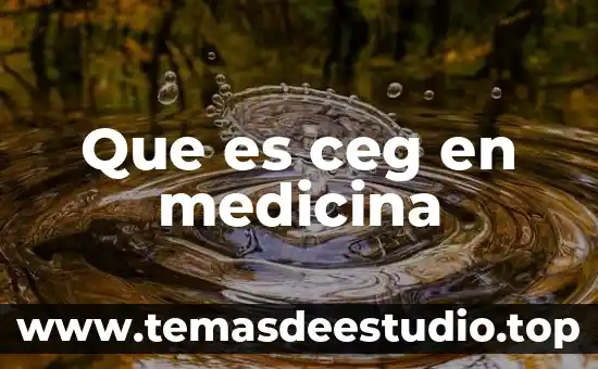 Que es opioide en medicina 5 Que es ceg en medicina