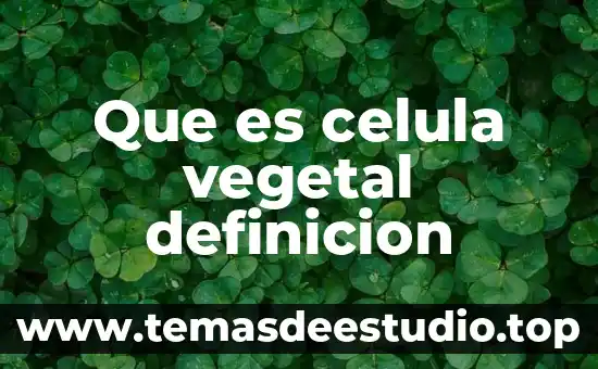 Qué es el bisonte definición 7 Que es celula vegetal definicion