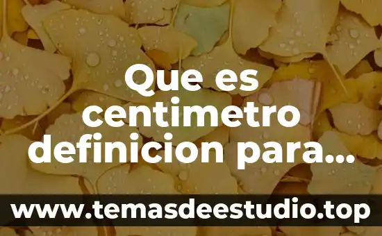 Qué es un huerto escolar definición 4 Que es centimetro definicion para niños