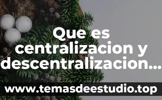 Qué es número de administración desconcentrada de auditoría fiscal 6 Que es centralizacion y descentralizacion en administracion