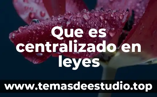 Que es centralizado en leyes