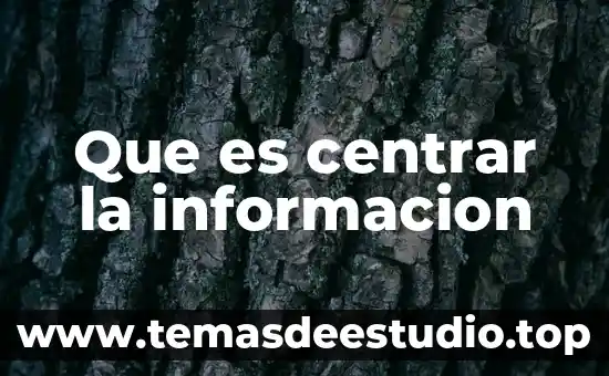 Que es el objetivo de la sociedad 3 Que es centrar la informacion