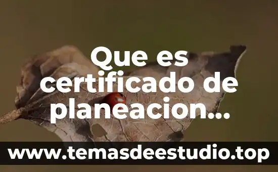 Qué es un ambiente confuso 5 Que es certificado de planeacion municipal y obras publicas