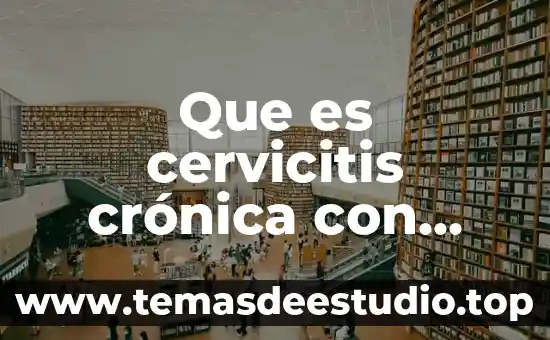 Qué es una hipótesis de un proyecto 3 Que es cervicitis crónica con cambios reactivos epiteliales post-inflamatorios