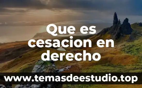 Qué es la parte actora en derecho mexicano 7 Que es cesacion en derecho