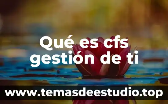 Qué es cfs gestión de ti