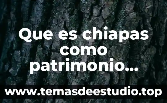Que es chiapas como patrimonio cultural