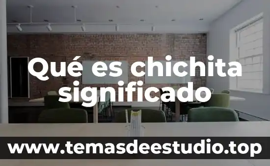 Que es erga omnes significado 7 Qué es chichita significado