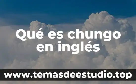 ¿Qué es significa greedy coloring en inglés a español? 7 Qué es chungo en inglés