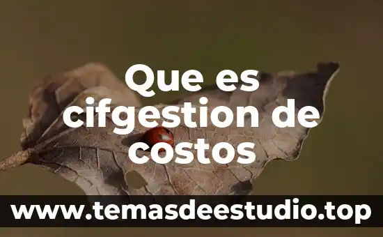 Que es la determinacion de costos 7 Que es cifgestion de costos