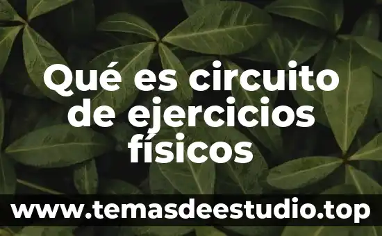Qué es circuito de ejercicios físicos