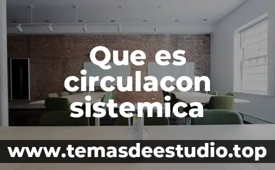 Que es significa interacción sistémica 4 Que es circulacon sistemica