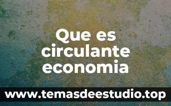 Que es una meta en economia 5 Que es circulante economia